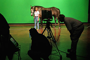 A horse being photographed against a green screen backgrop