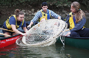 Impact U Science BioTech Students capturing aquatic life