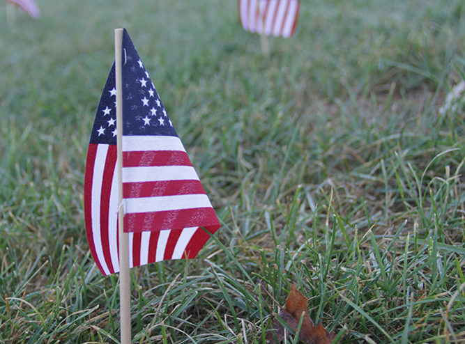 american flags on the green