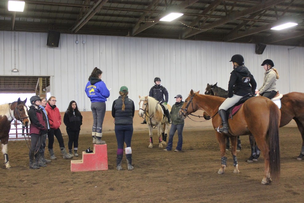 students and horses working together in an arena