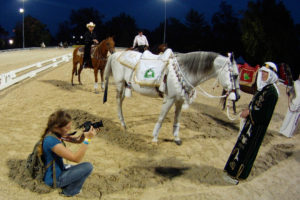 Student photographing a horse and handler