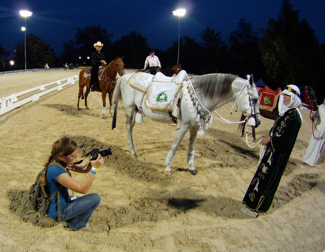 Student photographing a horse and handler