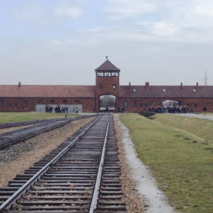 Railroad tracks leading to a Nazi concentration camp