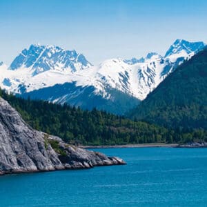 Ocean, forest and snowcapped mountains