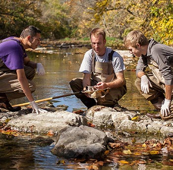 Students and professor in waders in a stream