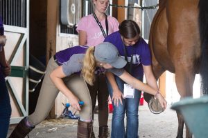 students examining a horse's hoof