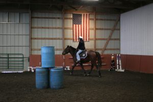 person riding a horse in an arena