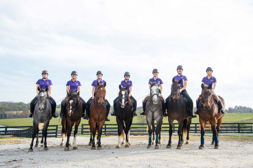 equine students on horses
