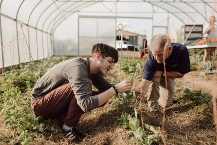 Two Asbury University students work in a greenhouse studying plants