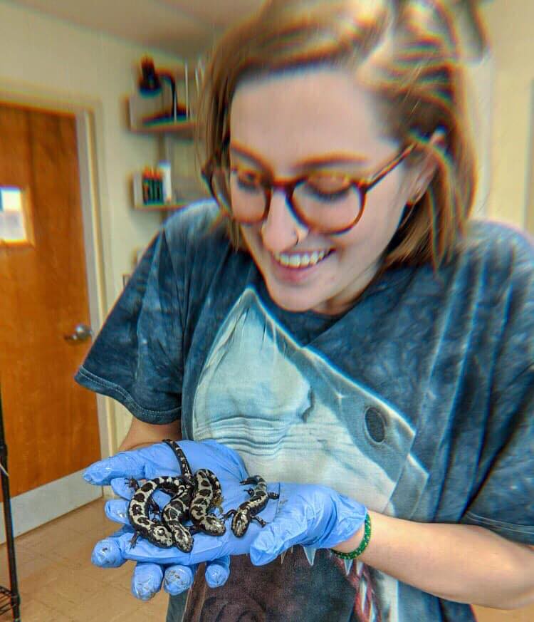Biology alumna Madeline Cox '19 holding four salamanders